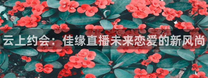 857直播-足球直播-nba直播-专业体育赛事直播平台：云上约会：佳缘直播未来恋爱的新风尚