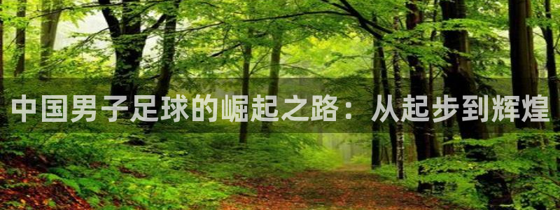 857体育直播在线观看免费下载