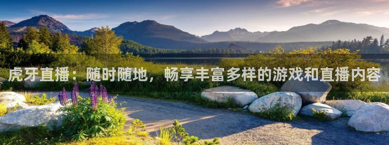 857直播足球直播吧：虎牙直播：随时随地，畅享丰富多样的游戏和直播内容