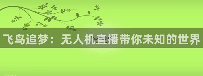 857足球赛直播：飞鸟追梦：无人机直播带你未知的世界