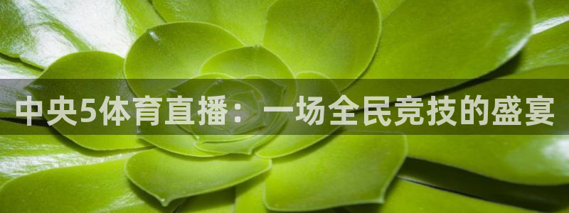 857体育赛事直播间：中央5体育直播：一场全民竞技的盛宴